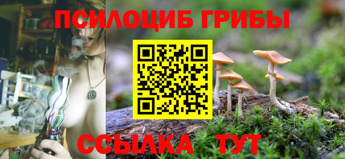 Краснодар  Псилоцибиновые грибы Magic Shrooms  Вход с VPN 